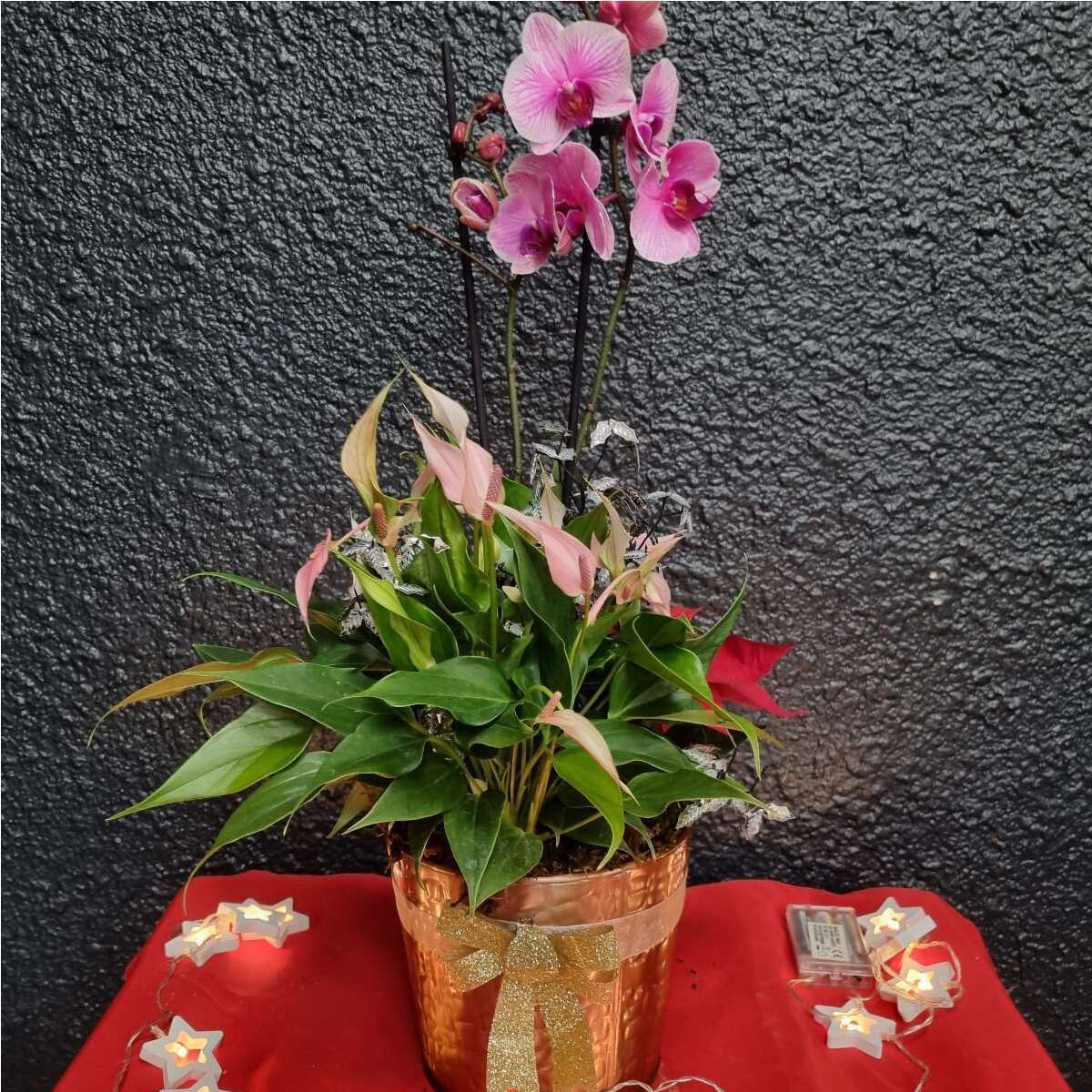 Ingrédient Orchidée
